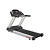 Беговая дорожка AeroFit  8600TM 7" TV
